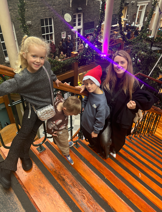 Powerscourt Centre